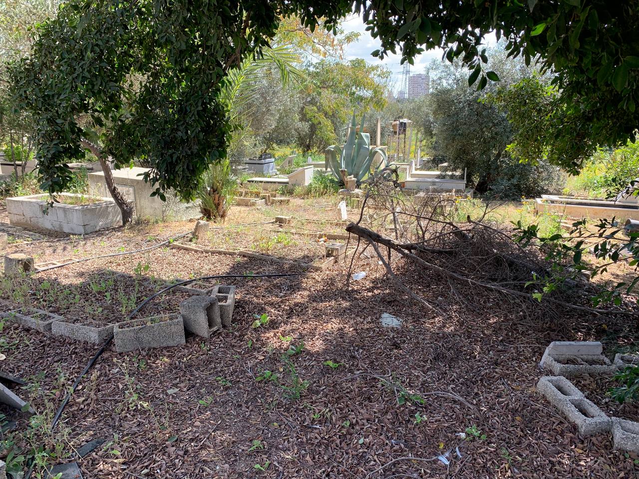 photo1678276195 (4).jpeg